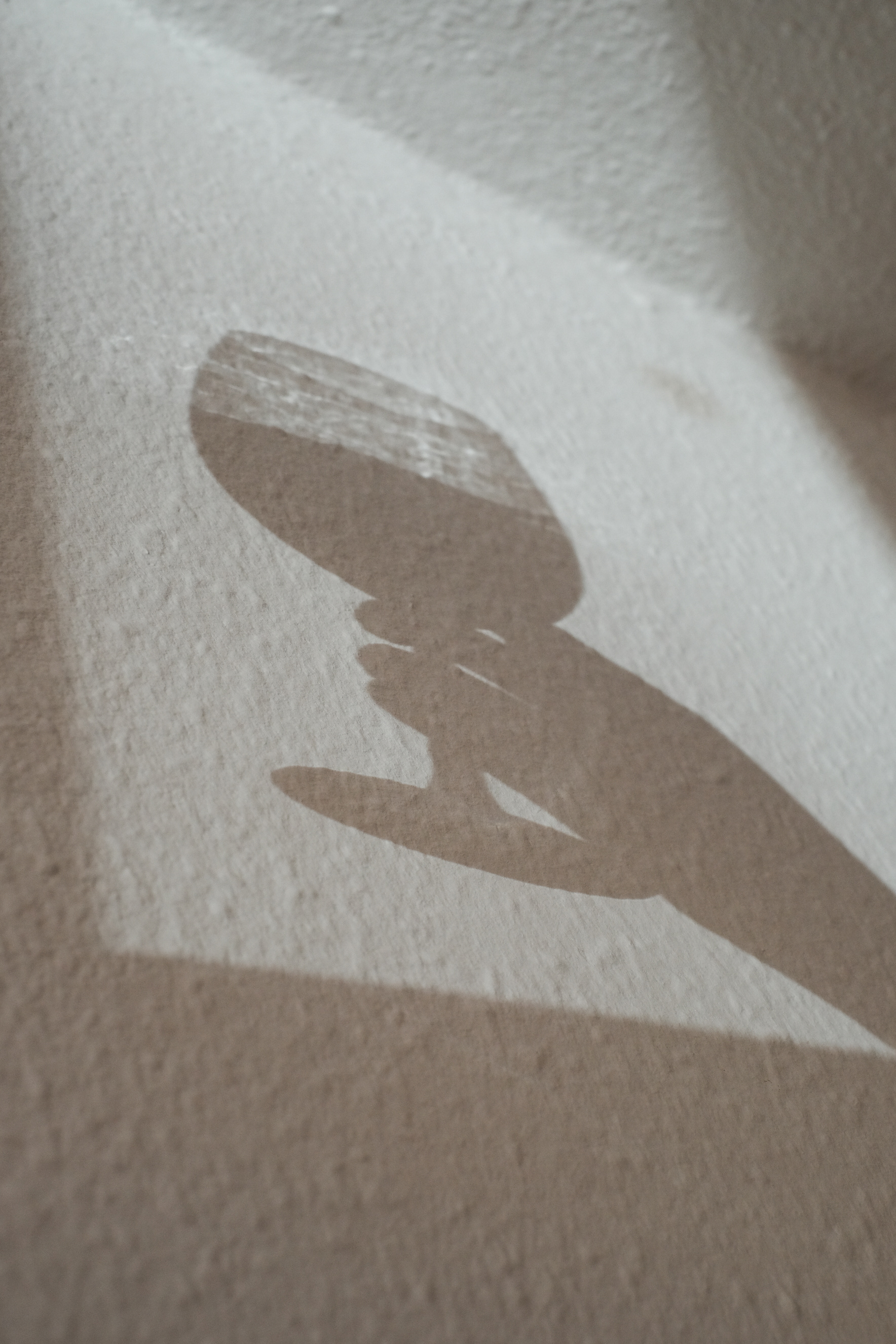 Shadow of a Person's Hand Holding a Glass of Drink